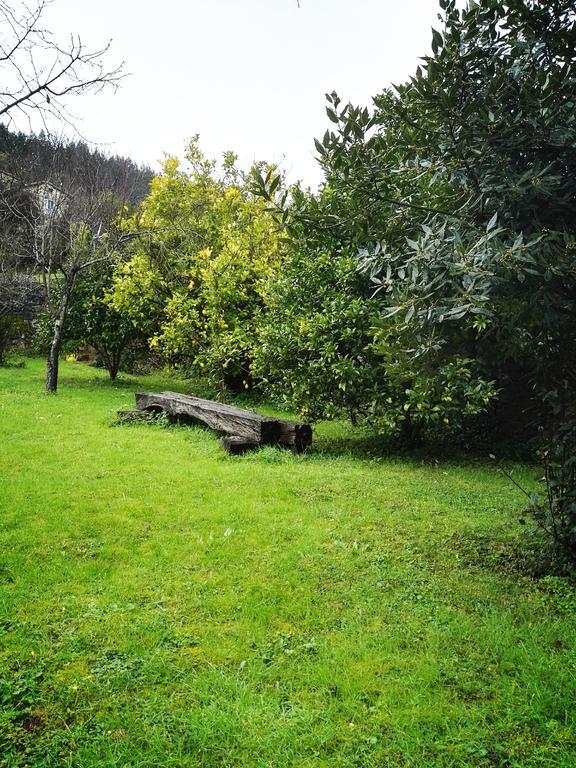 Artienza