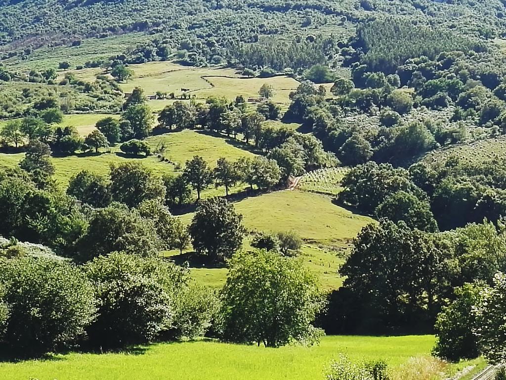 Artienza
